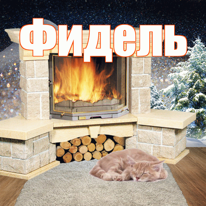 Фидель! Добрый зимний вечер! Красивая открытка Фиделю!