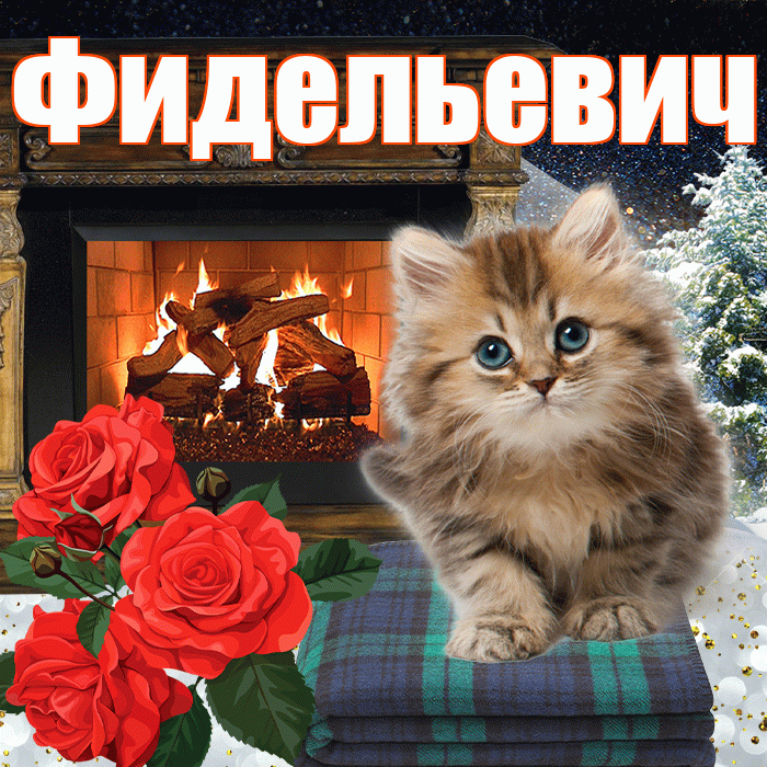 Фидельевич! Добрый зимний вечер! Красивая открытка Фидельевичу!