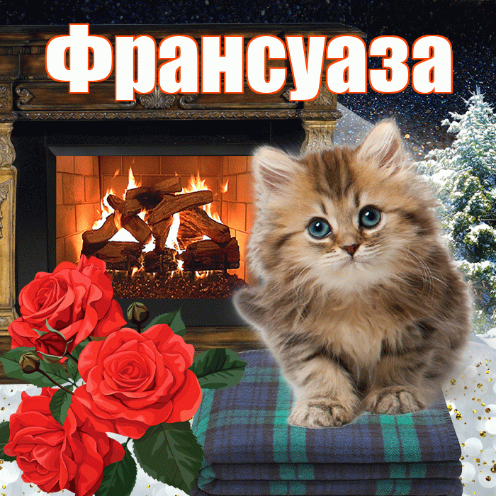Франсуаза! Добрый зимний вечер! Красивая открытка Франсуазе!