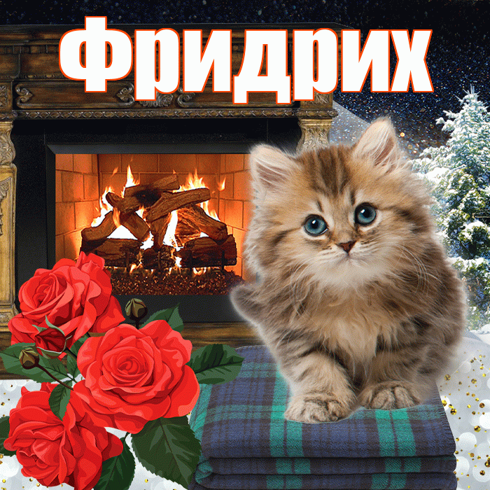 Фридрих! Добрый зимний вечер! Красивая открытка Фридриху!