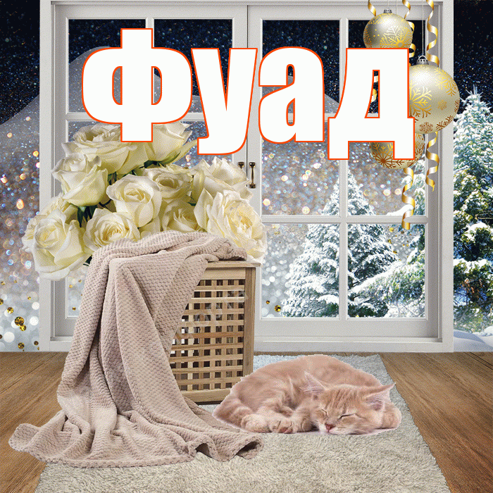 Фуад! Добрый зимний вечер! Красивая открытка Фуаду!