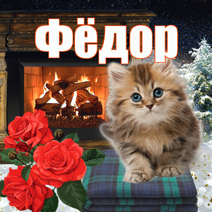 Фёдор! Добрый зимний вечер! Красивая открытка Фёдору!