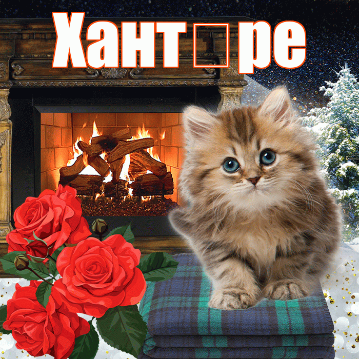 Хант ре! Добрый зимний вечер! Красивая открытка !