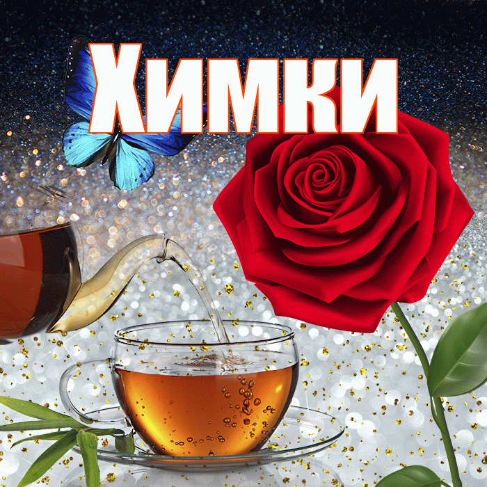 Химки! Добрый зимний вечер! Красивая открытка Химки!