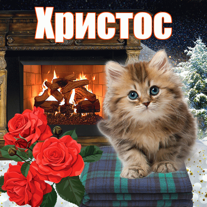 Христос! Добрый зимний вечер! Красивая открытка Христу!