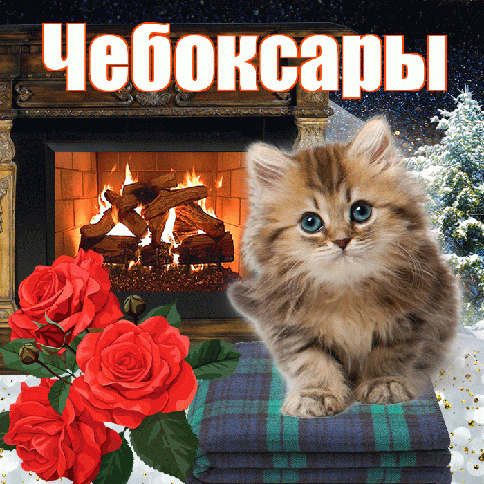 Чебоксары! Добрый зимний вечер! Красивая открытка Чебоксары!