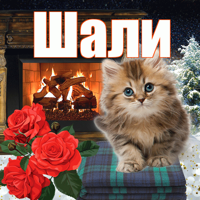 Шали! Добрый зимний вечер! Красивая открытка Шали!