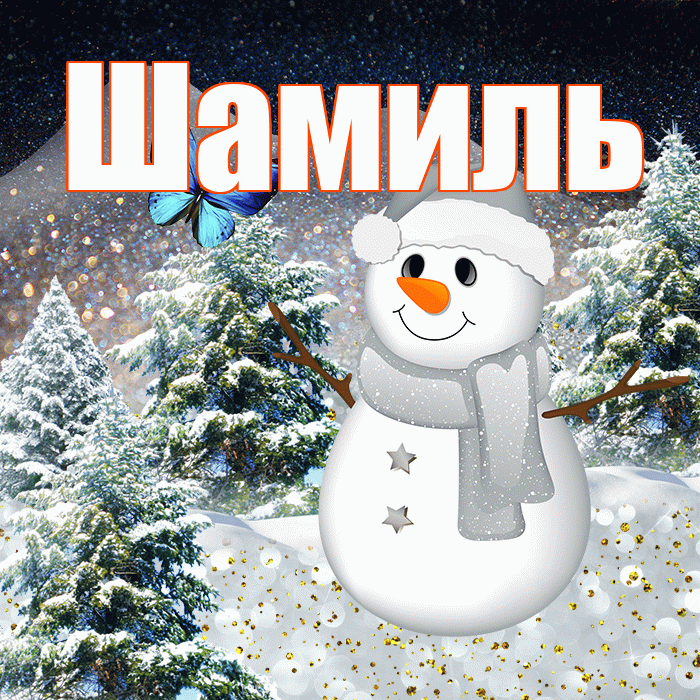 Шамиль! Добрый зимний вечер! Красивая открытка Шамилю!