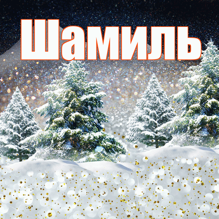 Шамиль! Добрый зимний вечер! Красивая открытка Шамилю!