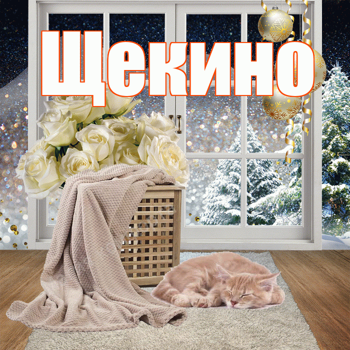 Щекино! Добрый зимний вечер! Красивая открытка Щекино!