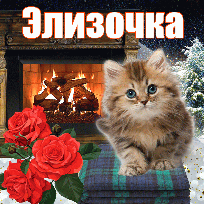 Элизочка! Добрый зимний вечер! Красивая открытка !