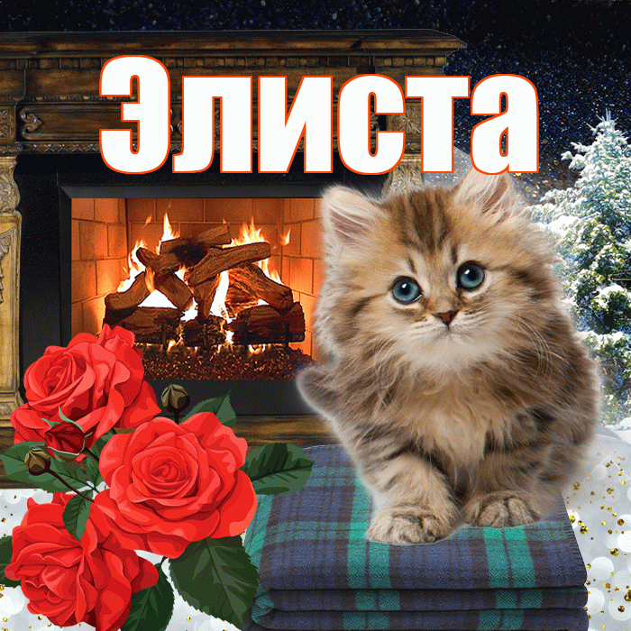Элиста! Добрый зимний вечер! Красивая открытка Элисте!