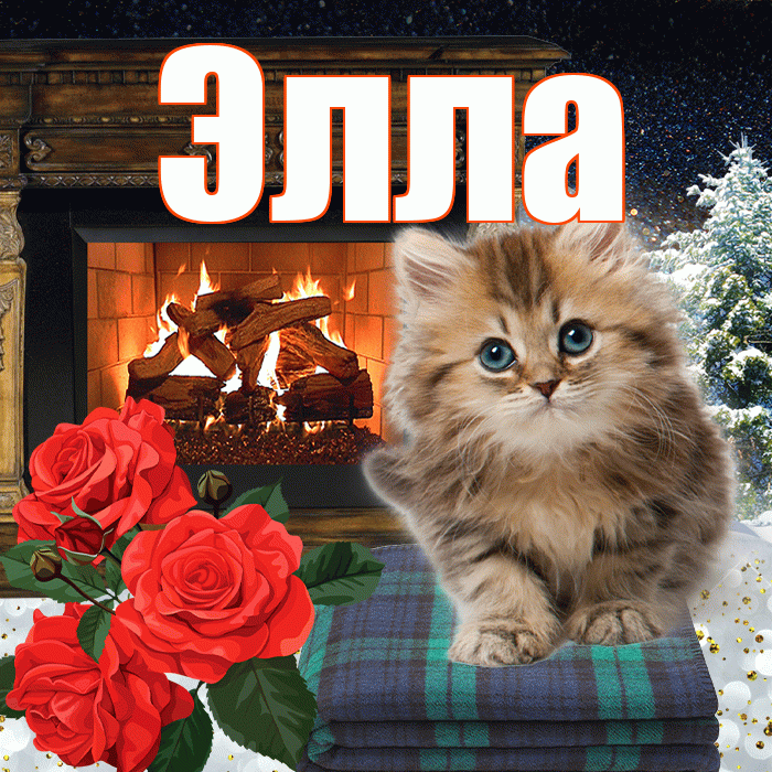 Элла! Добрый зимний вечер! Красивая открытка Элле!