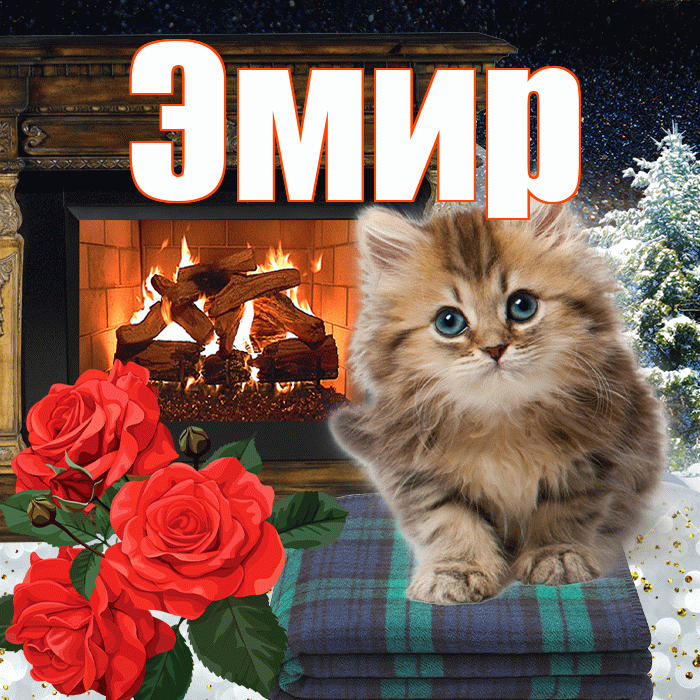 Эмир! Добрый зимний вечер! Красивая открытка Эмиру!