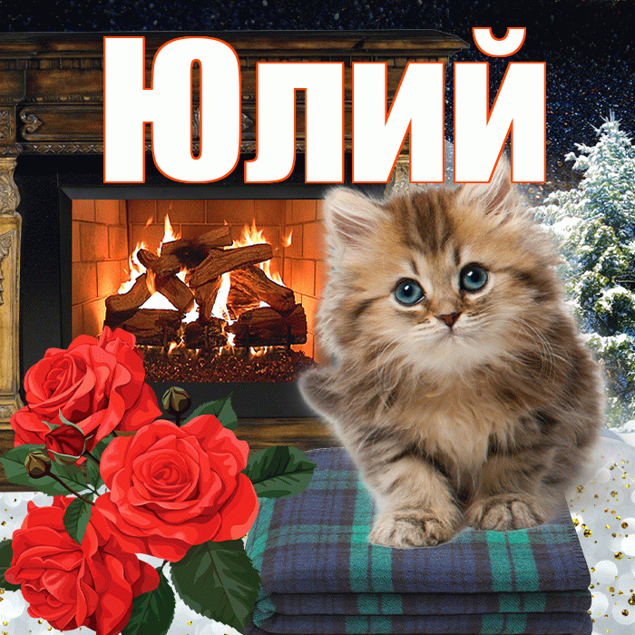Юлий! Добрый зимний вечер! Красивая открытка Юлию!