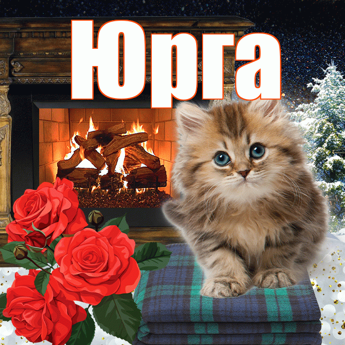 Юрга! Добрый зимний вечер! Красивая открытка Юрге!