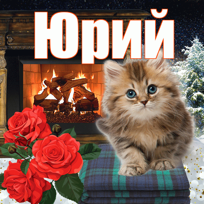 Юрий! Добрый зимний вечер! Красивая открытка Юрию!