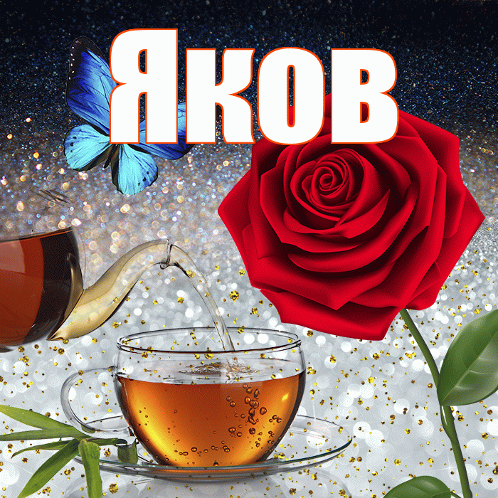 Яков! Добрый зимний вечер! Красивая открытка Яку!