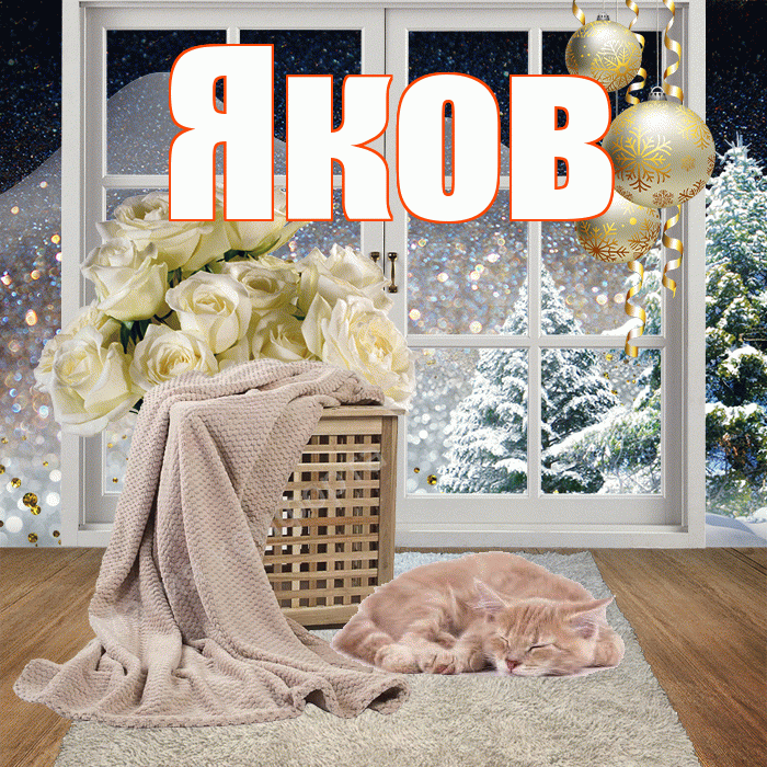 Яков! Добрый зимний вечер! Красивая открытка Яку!