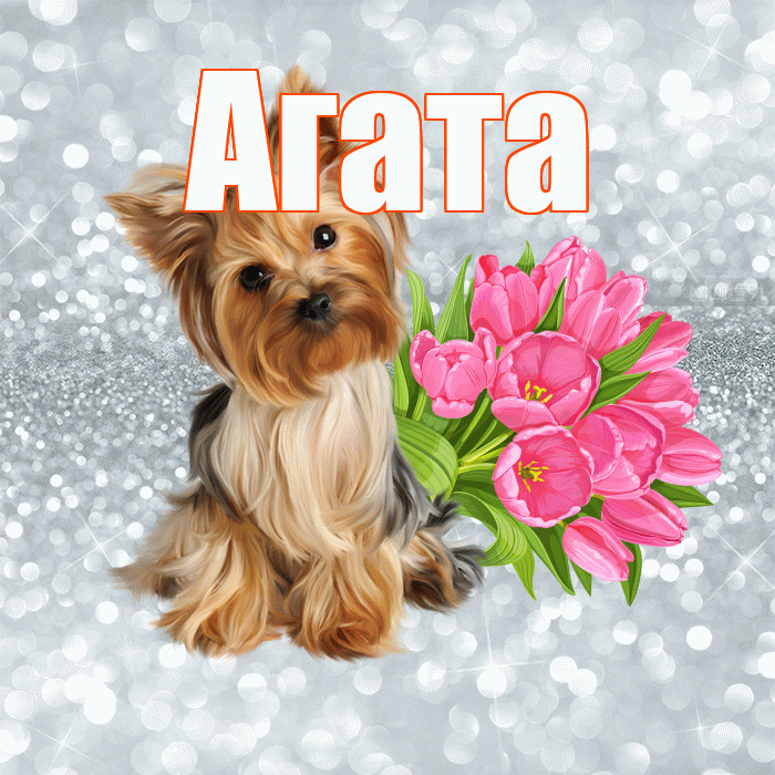 Агата! Желаю хорошего дня! Красивая открытка Агате!