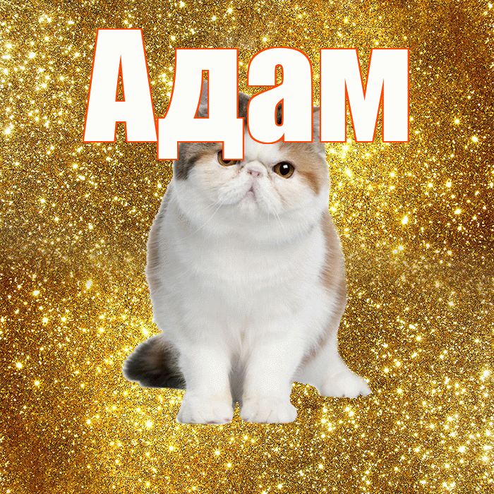 Адам! Желаю хорошего дня! Красивая открытка Адаму!