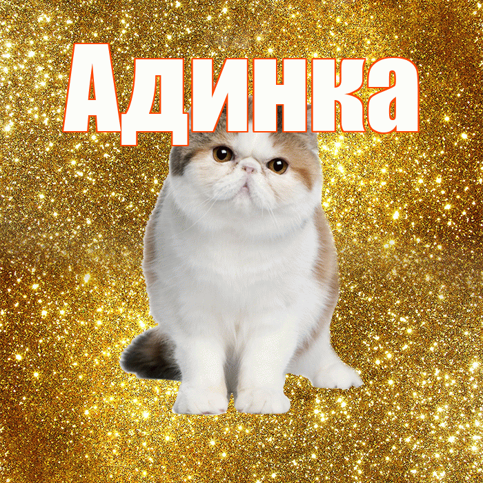 Адинка! Желаю хорошего дня! Красивая открытка !