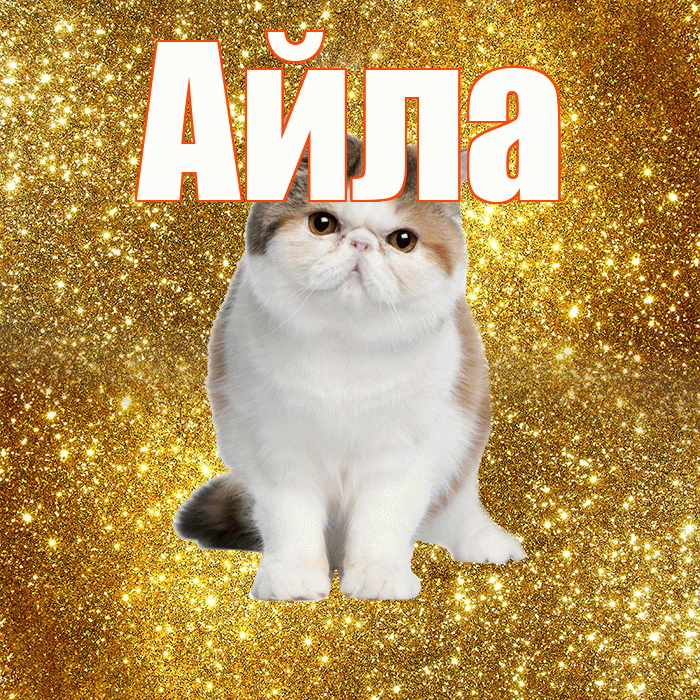 Айла! Желаю хорошего дня! Красивая открытка Айле!