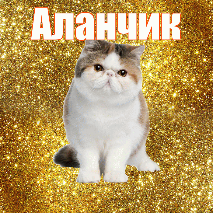 Аланчик! Желаю хорошего дня! Красивая открытка !