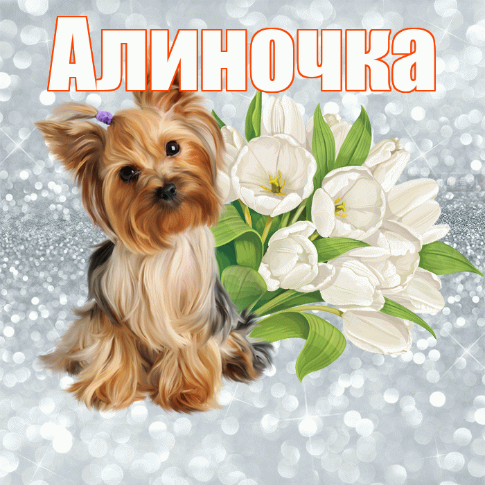 Алиночка! Желаю хорошего дня! Красивая открытка !