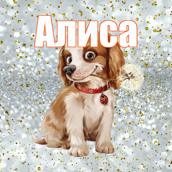 Алиса! Желаю хорошего дня! Красивая открытка Алисе!