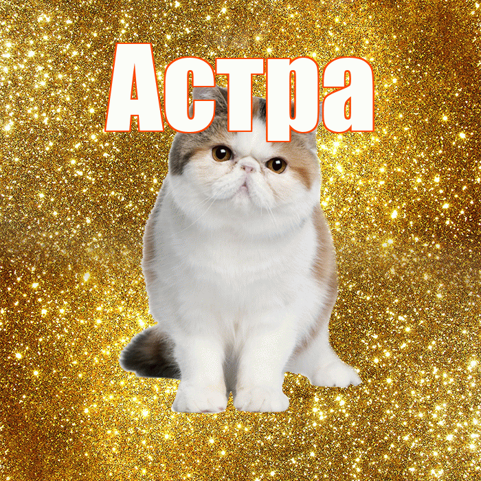 Астра! Желаю хорошего дня! Красивая открытка Астровне!