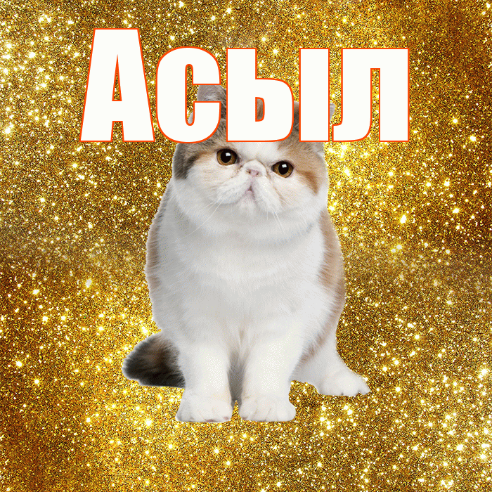 Асыл! Желаю хорошего дня! Красивая открытка Асылу!