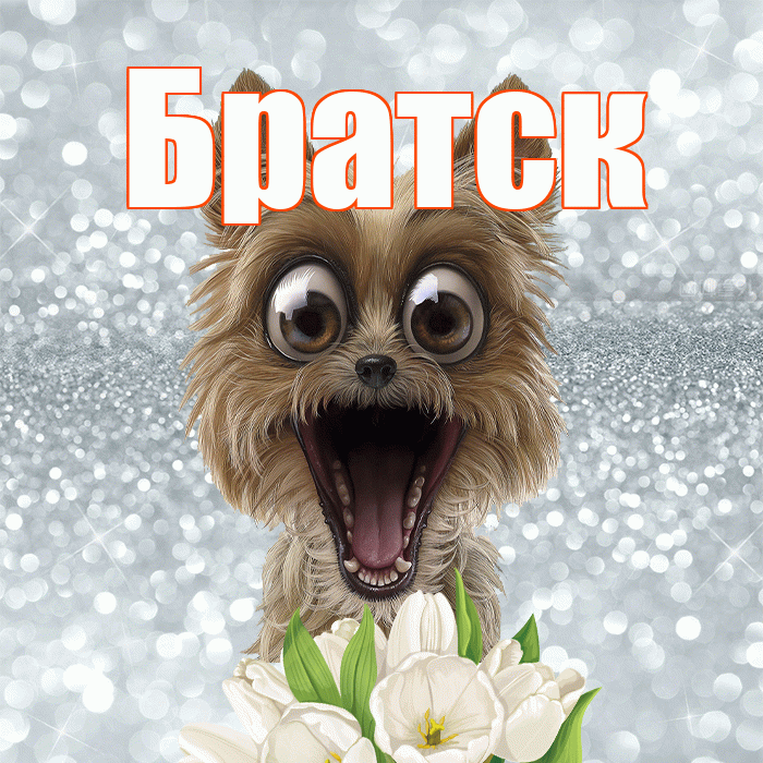 Братск! Желаю хорошего дня! Красивая открытка Братску!