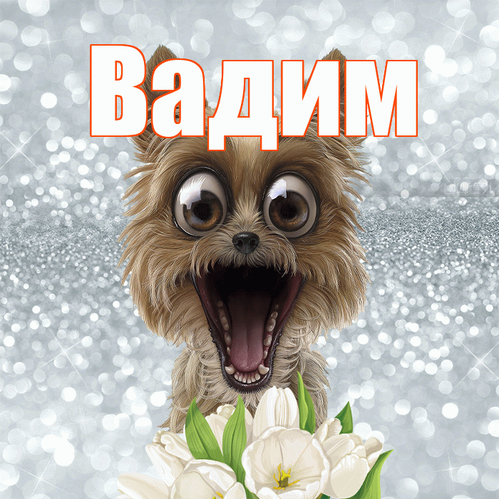Вадим! Желаю хорошего дня! Красивая открытка Вадиму!