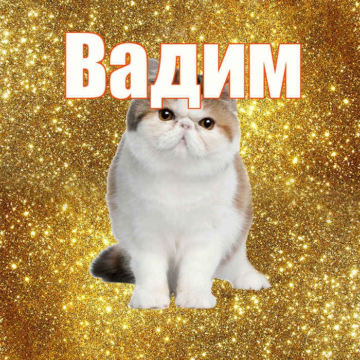 Вадим! Желаю хорошего дня! Красивая открытка Вадиму!
