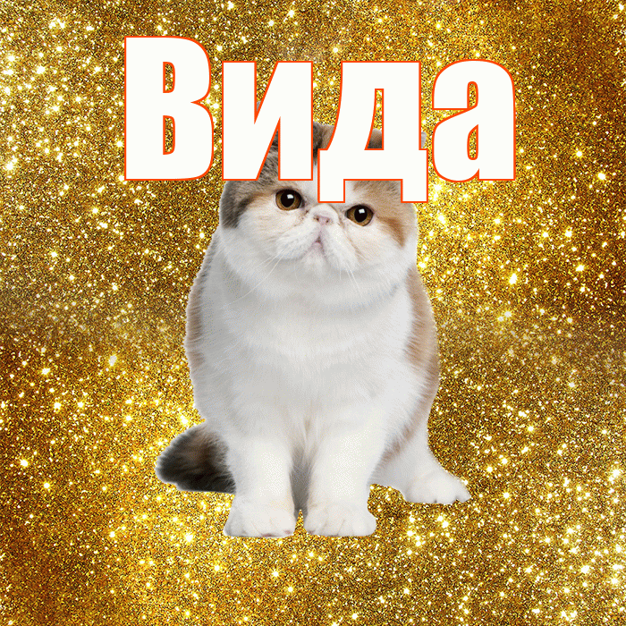 Вида! Желаю хорошего дня! Красивая открытка Виду!