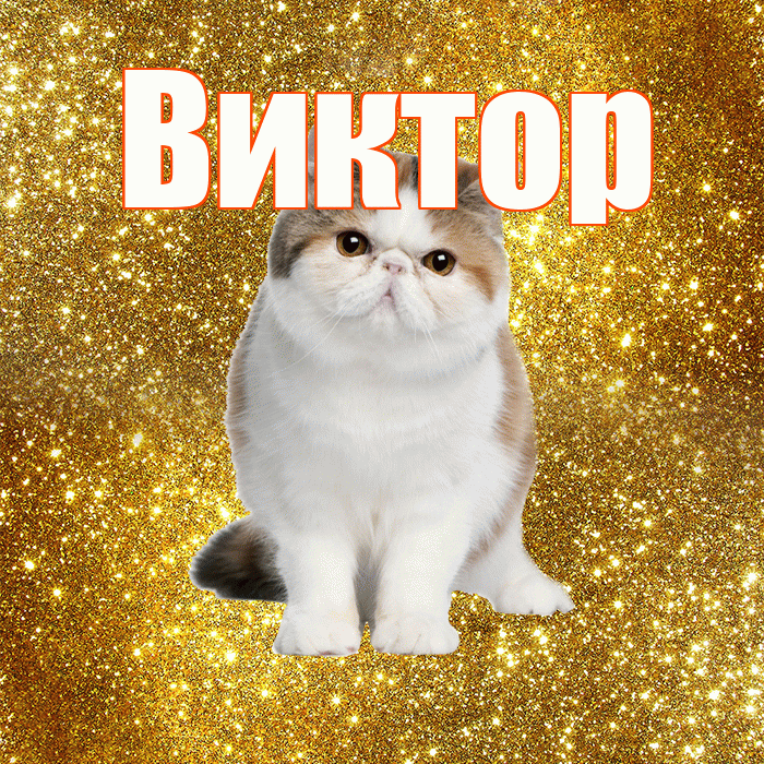 Виктор! Желаю хорошего дня! Красивая открытка Виктору!