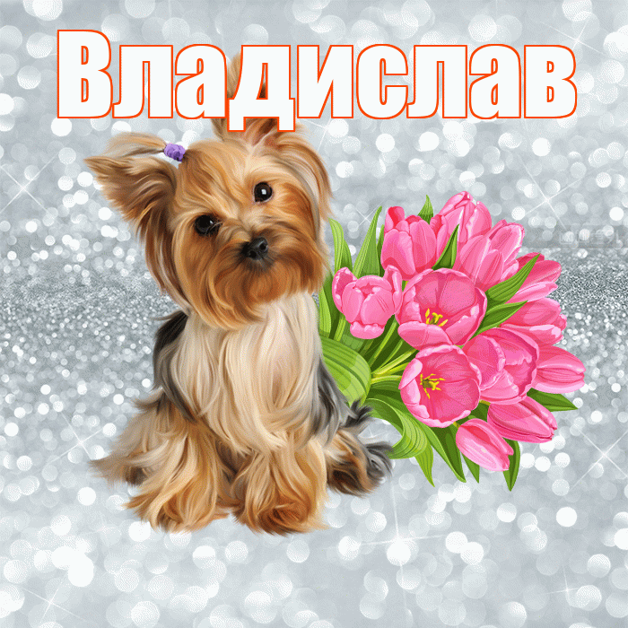 Владислав! Желаю хорошего дня! Красивая открытка Владиславу!