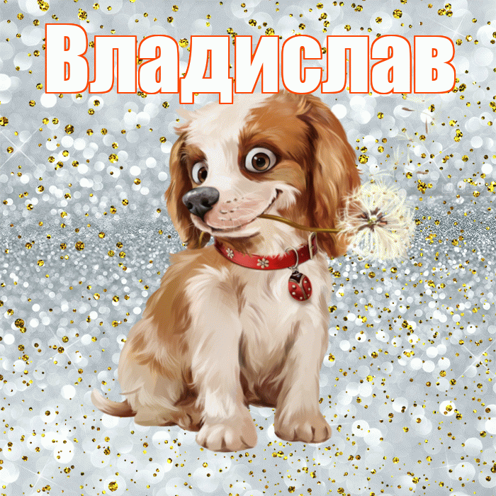Владислав! Желаю хорошего дня! Красивая открытка Владиславу!