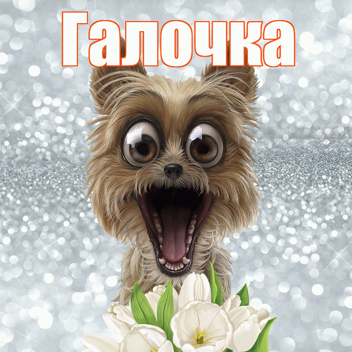 Галочка! Желаю хорошего дня! Красивая открытка !