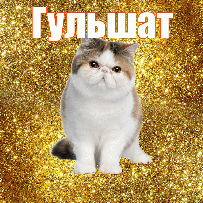 Гульшат! Желаю хорошего дня! Красивая открытка Гульшат!