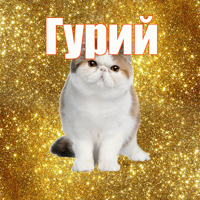 Гурий! Желаю хорошего дня! Красивая открытка Гурию!