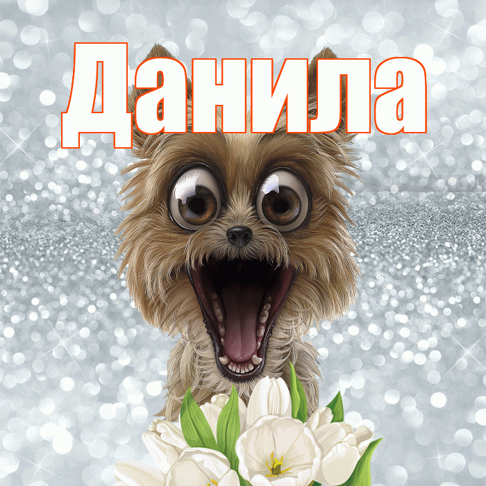 Данила! Желаю хорошего дня! Красивая открытка !