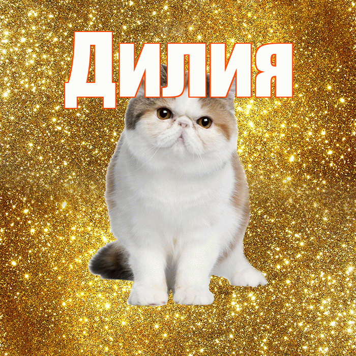 Дилия! Желаю хорошего дня! Красивая открытка Дилии!
