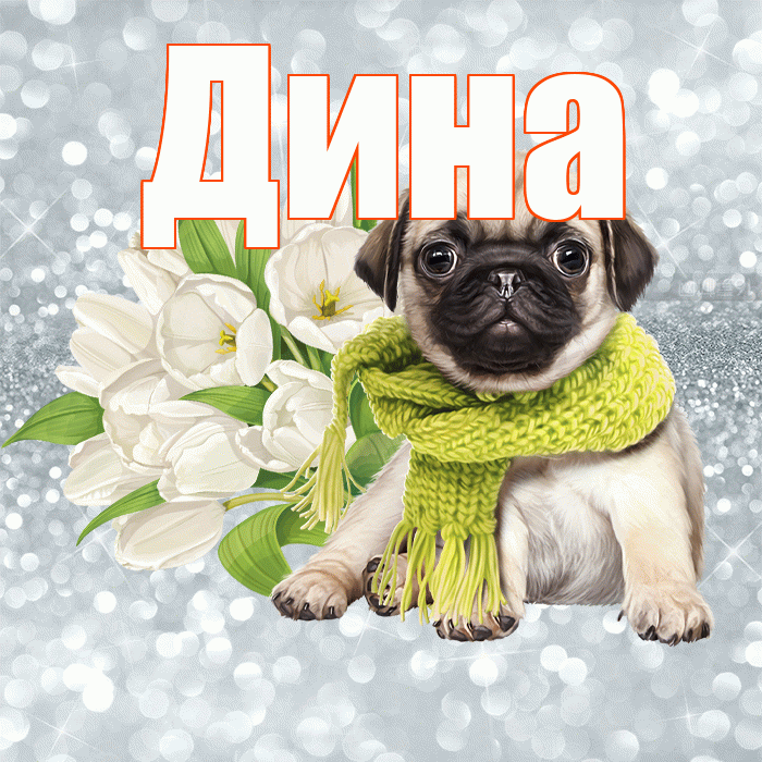Дина! Желаю хорошего дня! Красивая открытка Дине!