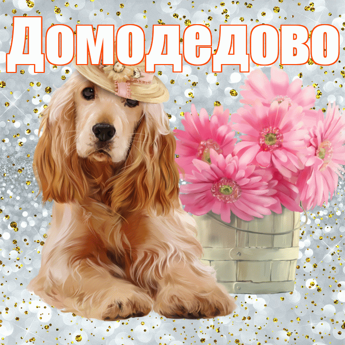 Домодедово! Желаю хорошего дня! Красивая открытка Домодедово!