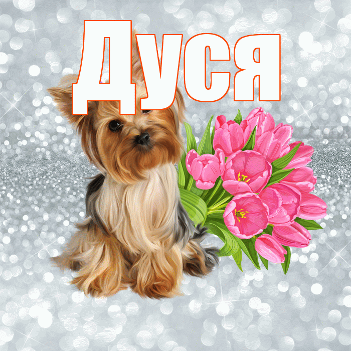 Дуся! Желаю хорошего дня! Красивая открытка Дусе!