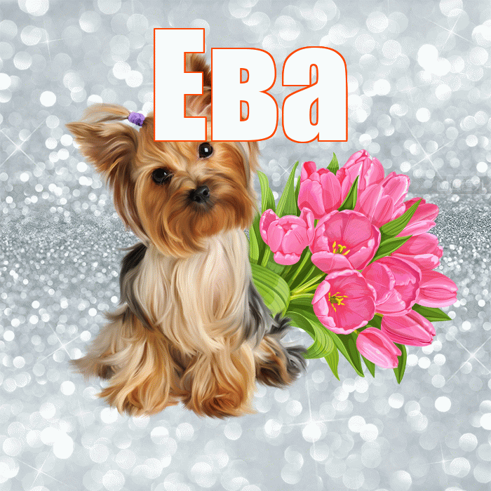 Ева! Желаю хорошего дня! Красивая открытка Еве!