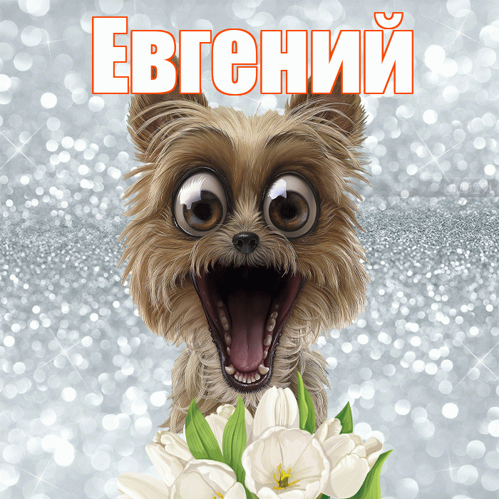 Евгений! Желаю хорошего дня! Красивая открытка Евгению!