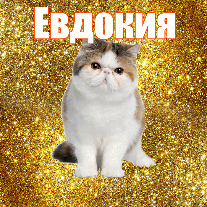 Евдокия! Желаю хорошего дня! Красивая открытка Евдокии!